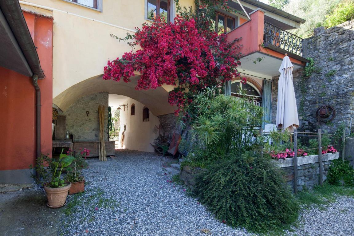 Il Borgo Della Colomba Villa Fosdinovo Buitenkant foto
