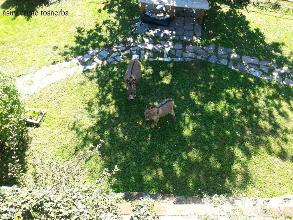 Il Borgo Della Colomba Villa Fosdinovo Buitenkant foto